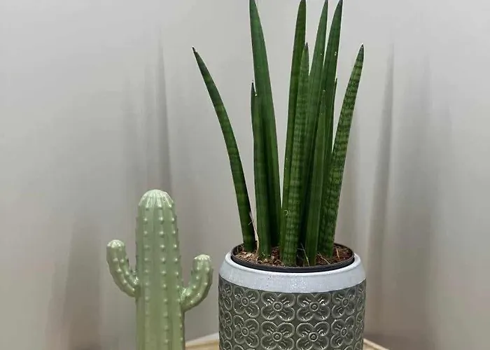 M&m1 Near Center With Free Parking - Ac Košice